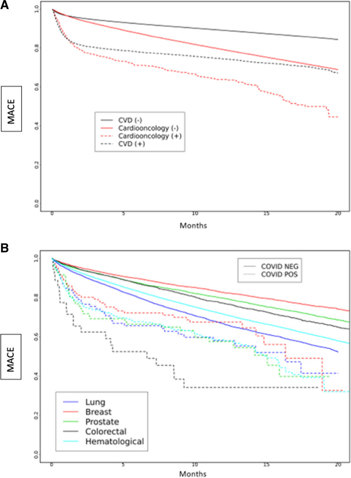 Outcomes of patients with active cancers and pre-existing cardiovascular diseases infected with SARS-CoV-2.