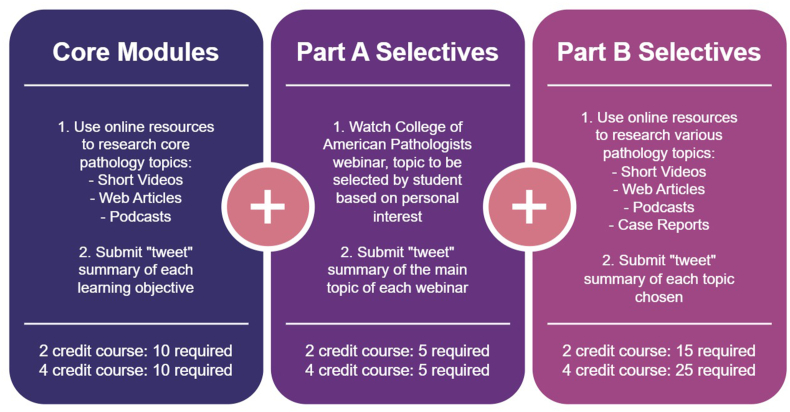 Increasing medical student awareness of pathology through a virtual, asynchronous pathology elective