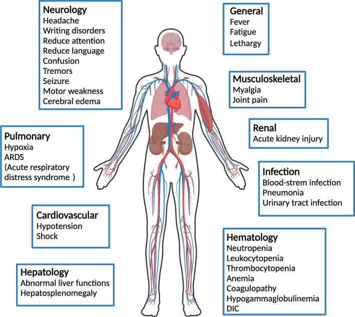 Complete spectrum of adverse events associated with chimeric antigen receptor (CAR)-T cell therapies.