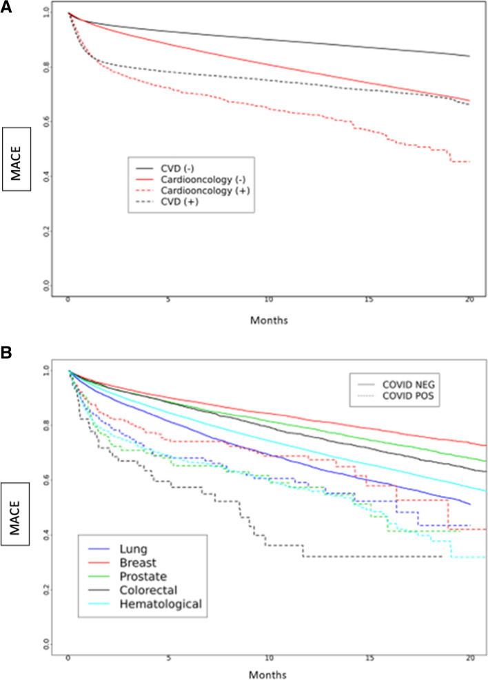 Outcomes of patients with active cancers and pre-existing cardiovascular diseases infected with SARS-CoV-2.