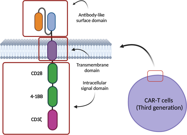 Complete spectrum of adverse events associated with chimeric antigen receptor (CAR)-T cell therapies.