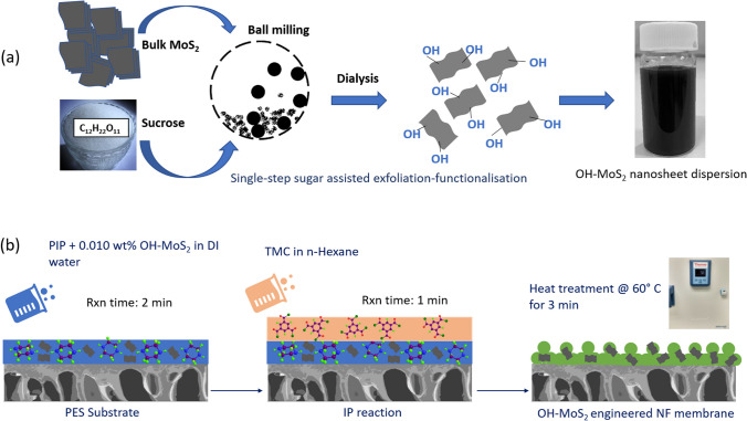 Tuning nanofiltration membrane performance: OH–MoS2 nanosheet engineering and divalent cation influence on fouling and organic removal