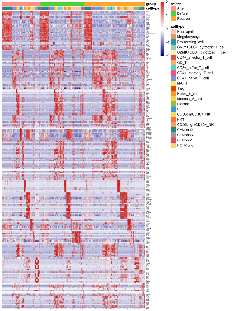 Decoding the immune landscape following hip fracture in elderly patients: unveiling temporal dynamics through single-cell RNA sequencing.