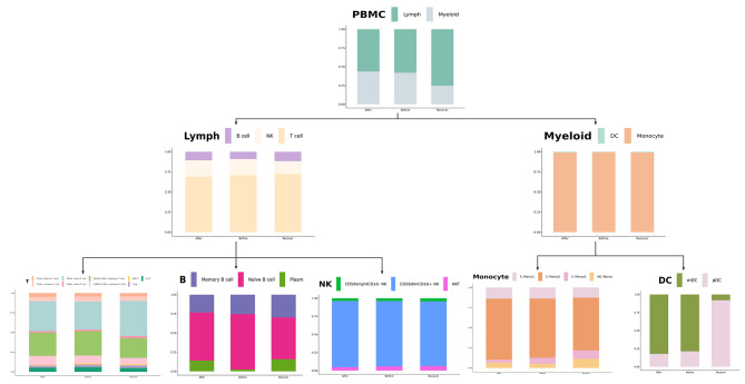 Decoding the immune landscape following hip fracture in elderly patients: unveiling temporal dynamics through single-cell RNA sequencing.