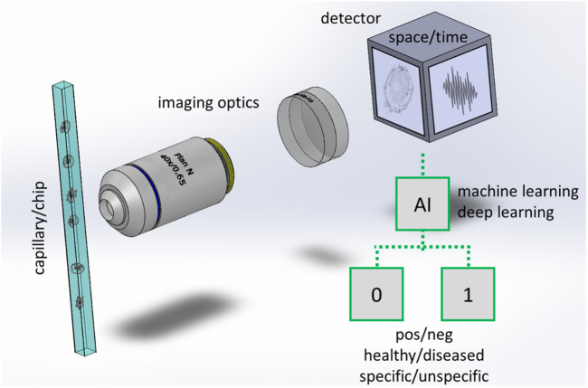 Artificial intelligence in imaging flow cytometry.