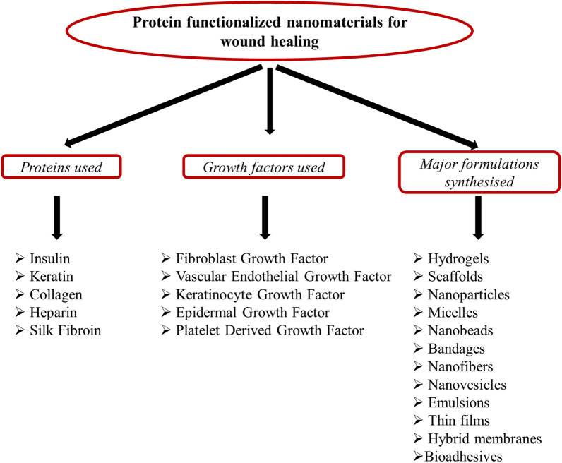 Protein-modified nanomaterials: emerging trends in skin wound healing