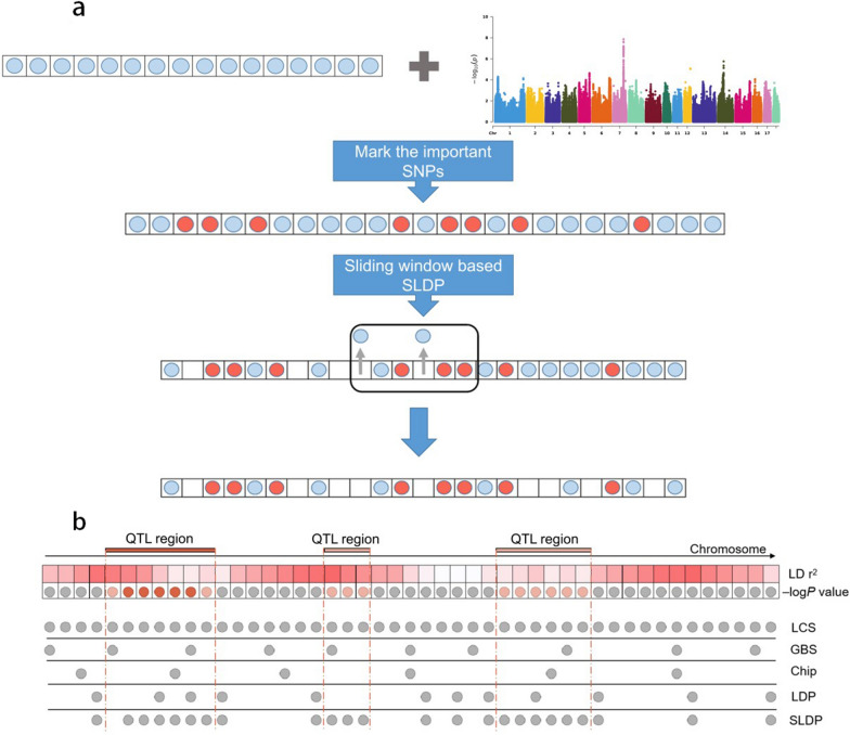 Genomic prediction based on selective linkage disequilibrium pruning of low-coverage whole-genome sequence variants in a pure Duroc population.