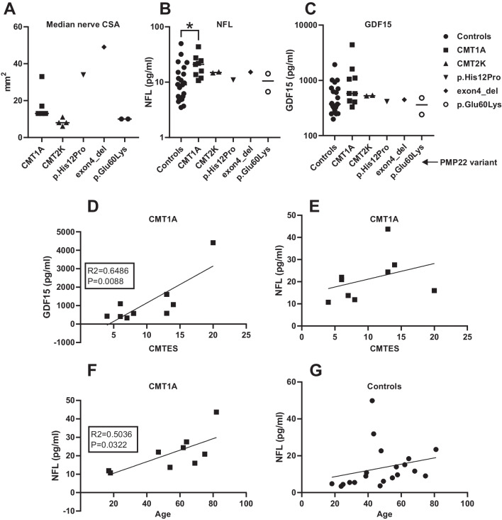 Rare PMP22 variants in mild to severe neuropathy uncorrelated to plasma GDF15 or neurofilament light.