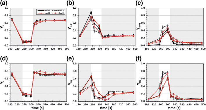 Photosynthetic and transcriptome responses to fluctuating light in <i>Arabidopsis thylakoid</i> ion transport triple mutant.