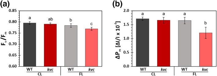 Photosynthetic and transcriptome responses to fluctuating light in <i>Arabidopsis thylakoid</i> ion transport triple mutant.