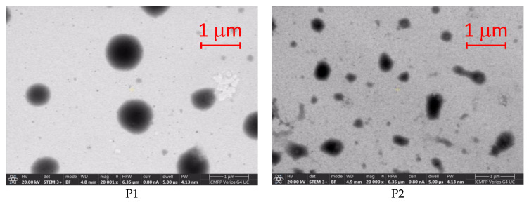 Development of Solid Lipid Nanoparticles for Controlled Amiodarone Delivery.