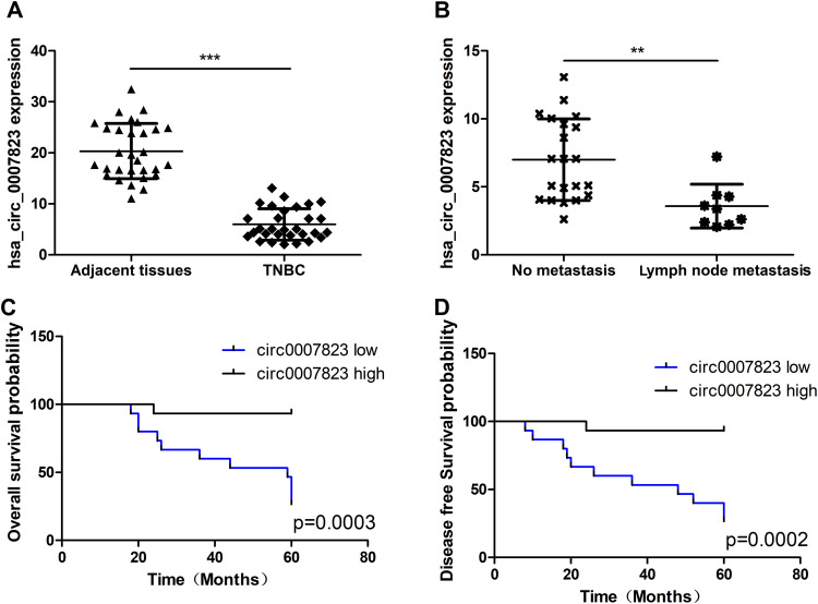 Hsa_circ_0007823 Overexpression Suppresses the Progression of Triple-Negative Breast Cancer via Regulating miR-182-5p-FOXO1 Axis.