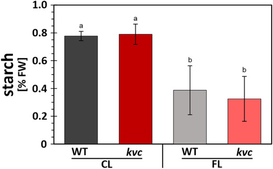 Photosynthetic and transcriptome responses to fluctuating light in <i>Arabidopsis thylakoid</i> ion transport triple mutant.