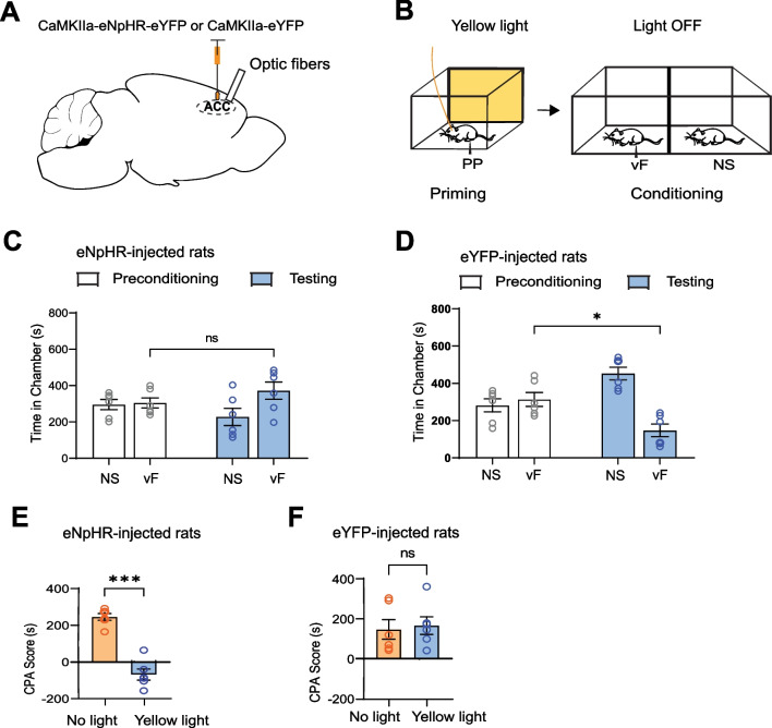 Anterior cingulate cortex regulates pain catastrophizing-like behaviors in rats.