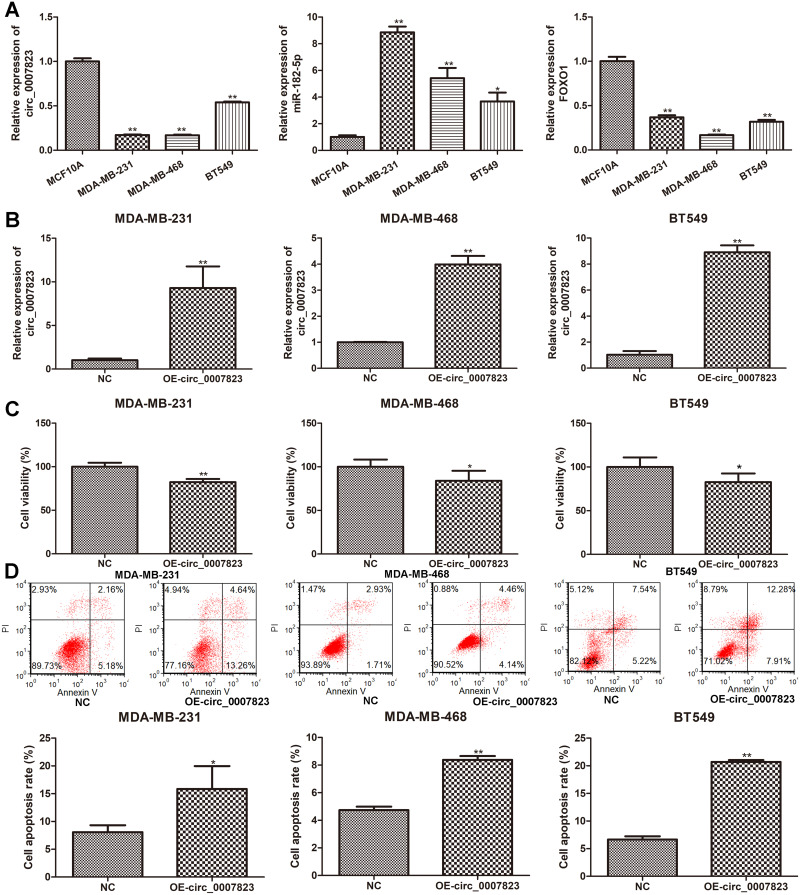 Hsa_circ_0007823 Overexpression Suppresses the Progression of Triple-Negative Breast Cancer via Regulating miR-182-5p-FOXO1 Axis.