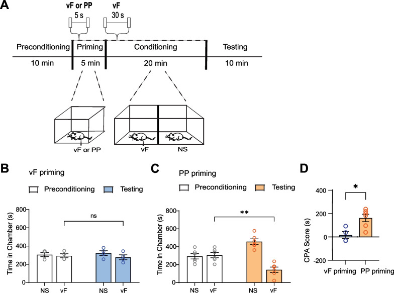 Anterior cingulate cortex regulates pain catastrophizing-like behaviors in rats.