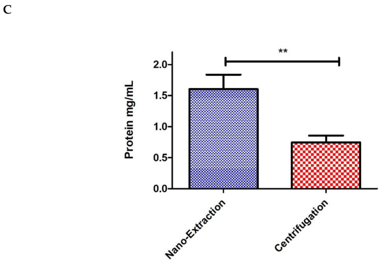 A Simple Protocol for Isolating Hemolymph from Single <i>Drosophila melanogaster</i> Adult Flies.