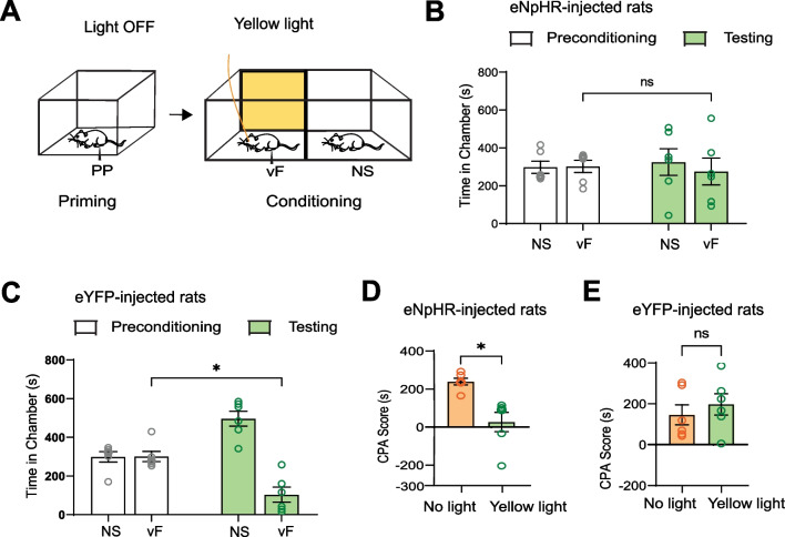 Anterior cingulate cortex regulates pain catastrophizing-like behaviors in rats.