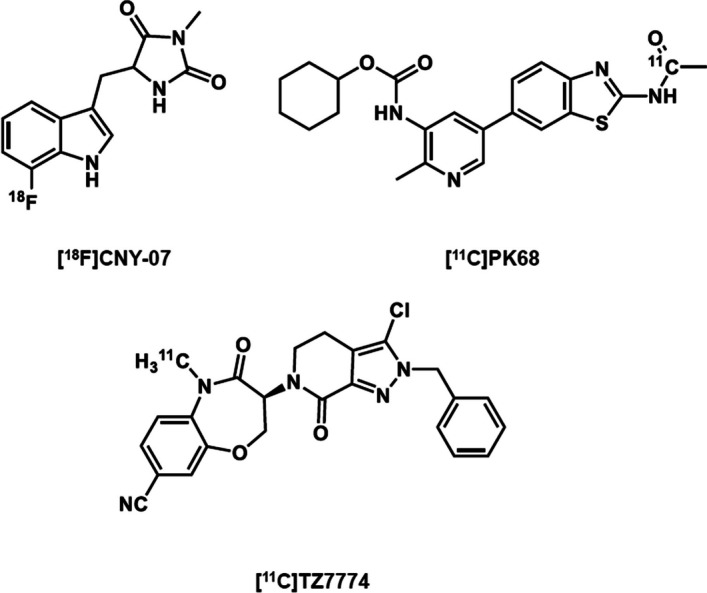 Synthesis and evaluation of a novel PET ligand, a GSK’963 analog, aiming at autoradiography and imaging of the receptor interacting protein kinase 1 in the brain