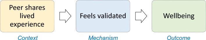 Focusing a realist evaluation of peer support for paediatric mental health.