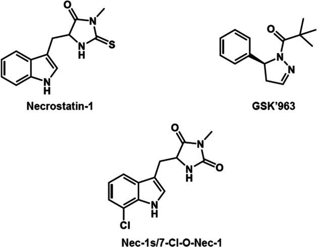 Synthesis and evaluation of a novel PET ligand, a GSK’963 analog, aiming at autoradiography and imaging of the receptor interacting protein kinase 1 in the brain