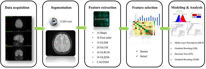 Investigating the Ability of Radiomics Features for Diagnosis of the Active Plaque of Multiple Sclerosis Patients.