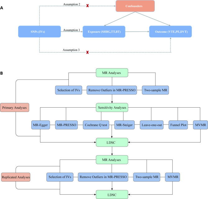 Causal inference of sex hormone-binding globulin on venous thromboembolism: evidence from Mendelian randomisation.