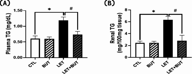 Butyrate alleviates renal inflammation and fibrosis in a rat model of polycystic ovarian syndrome by suppression of SDF-1.