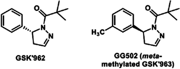 Synthesis and evaluation of a novel PET ligand, a GSK’963 analog, aiming at autoradiography and imaging of the receptor interacting protein kinase 1 in the brain