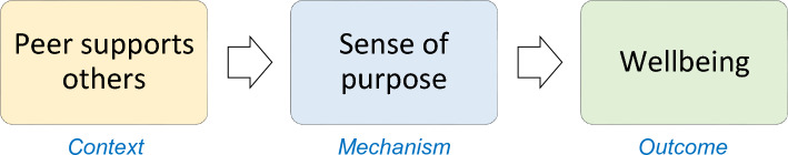 Focusing a realist evaluation of peer support for paediatric mental health.