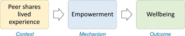 Focusing a realist evaluation of peer support for paediatric mental health.