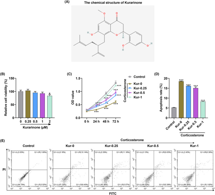 Neuroprotective effect of Kurarinone against corticosterone-induced cytotoxicity on rat hippocampal neurons by targeting BACE1 to activate P13K-AKT signaling - A potential treatment in insomnia disorder.