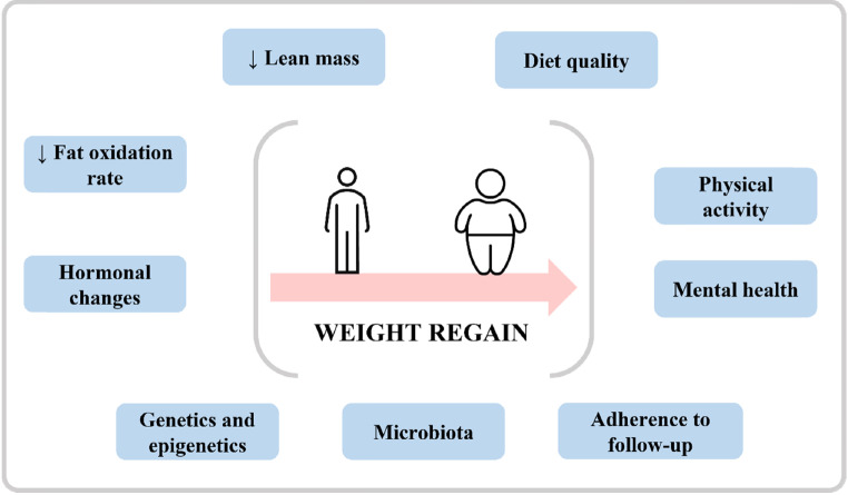 Precision nutrition in the context of bariatric surgery.