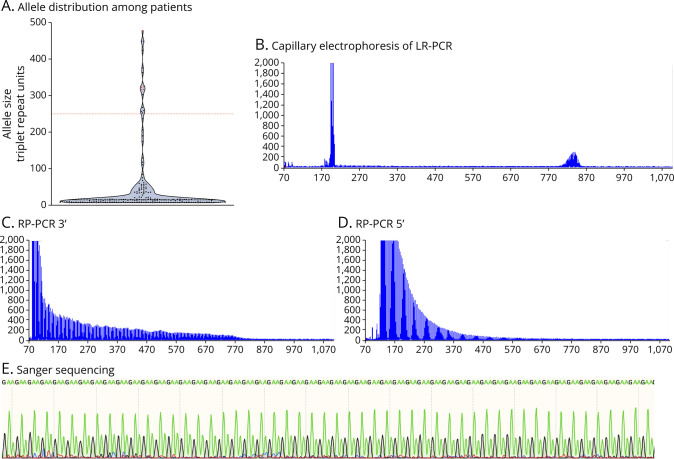 Frequency of GAA-<i>FGF14</i> Ataxia in a Large Cohort of Brazilian Patients With Unsolved Adult-Onset Cerebellar Ataxia.