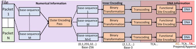 FrameD: framework for DNA-based data storage design, verification, and validation.