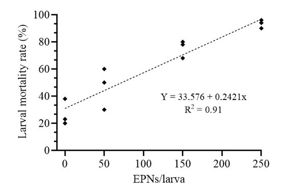 Evaluation of the effect of <i>Heterorhabditis bacteriophora</i> (HP88) on <i>Stomoxys calcitrans</i> (Linnaeus, 1758) larvae (Diptera: Muscidae) in sugarcane bagasse ash.