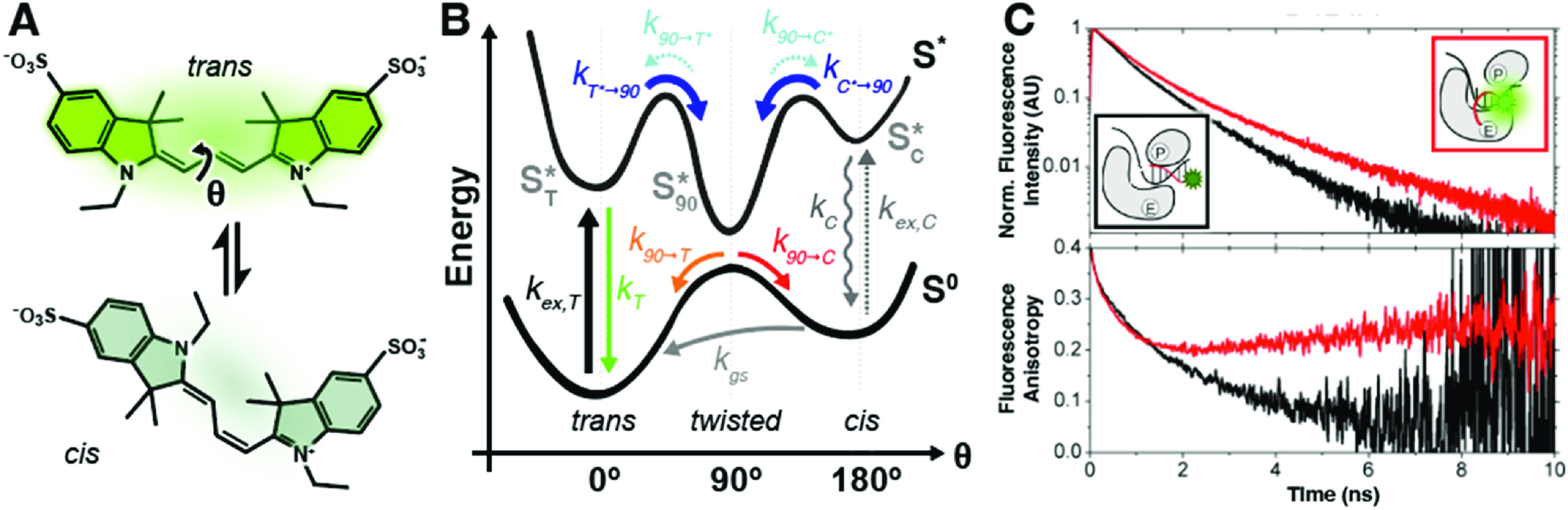 A new twist on PIFE: photoisomerisation-related fluorescence enhancement.