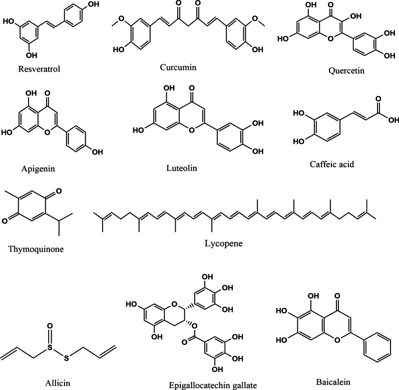 Exploring the role of natural bioactive molecules in genitourinary cancers: how far has research progressed?