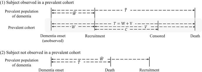 Evaluation of the natural history of disease by combining incident and prevalent cohorts: application to the Nun Study.