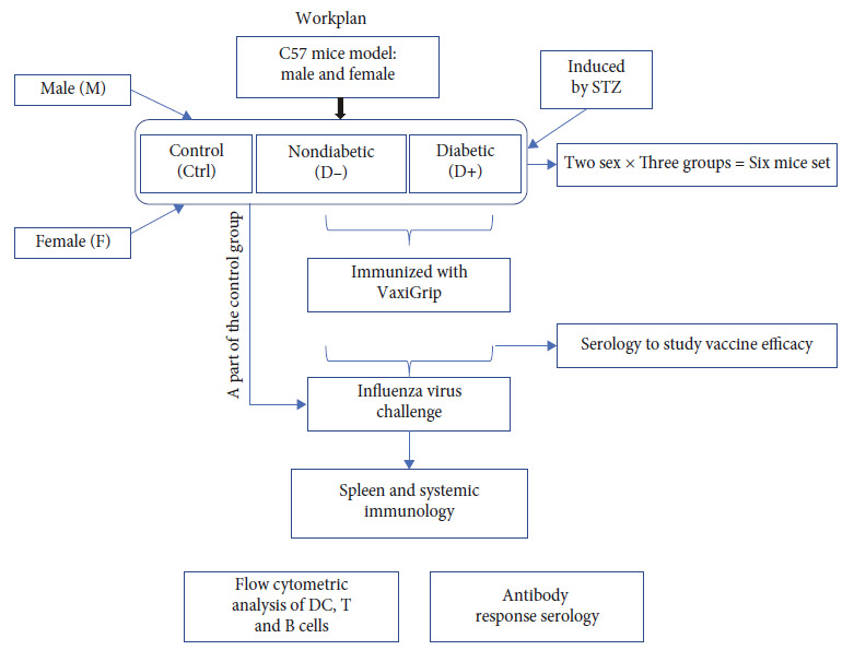 Sex-Specific Immune Responses to Seasonal Influenza Vaccination in Diabetic Individuals: Implications for Vaccine Efficacy.