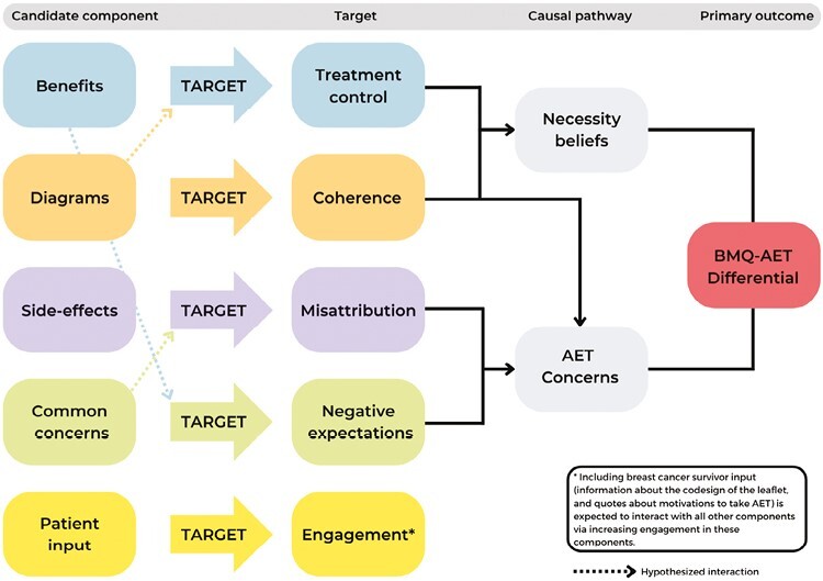 Optimization of an Information Leaflet to Influence Medication Beliefs in Women With Breast Cancer: A Randomized Factorial Experiment.