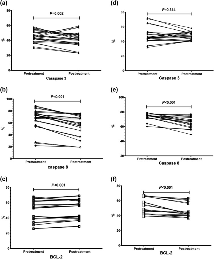 Cell Death Markers in Children with Immune Thrombocytopenic Purpura: A Preliminary Study.