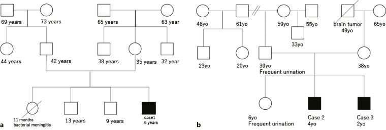 Three Pediatric Patients with Congenital Nephrogenic Diabetes Insipidus due to <i>AVPR2</i> Nonsense Mutations and Different Clinical Manifestations: A Case Report.