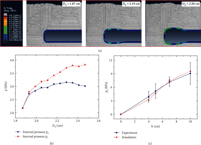 Radial Expansion Favors the Burrowing Behavior of <i>Urechis unicinctus</i>.