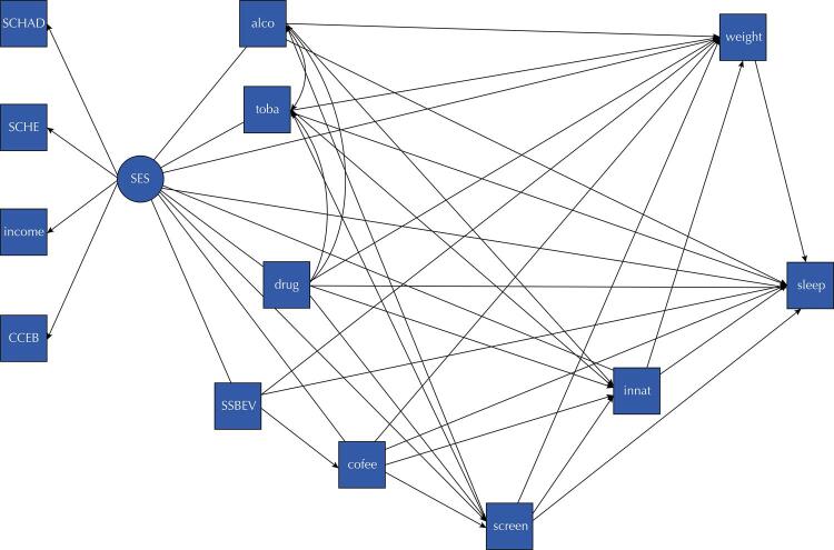 Modifiable behavioral risk factors for NCDs and sleep in Brazilian adolescents.