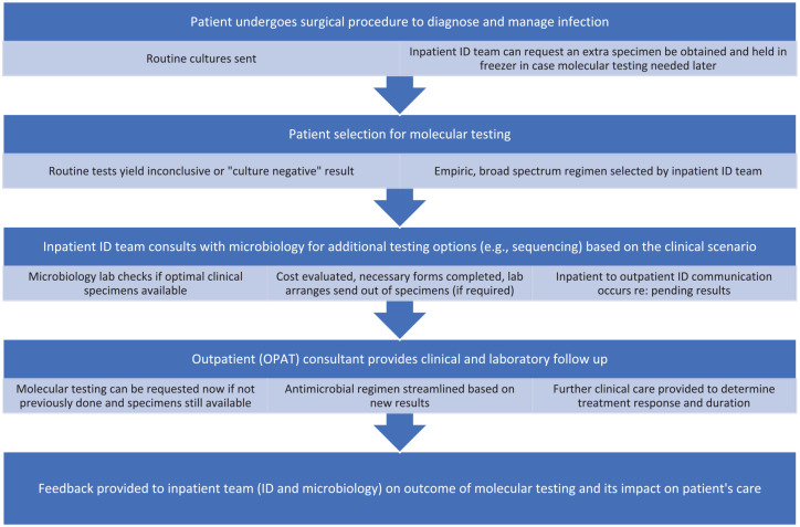 What is the role of the clinical microbiology laboratory in the care of diagnostically challenging OPAT patients? Illustrative cases and literature review.