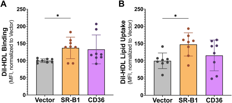 Development and validation of a purification system for functional full-length human SR-B1 and CD36.