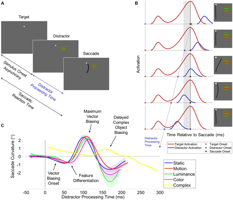 Oculomotor feature discrimination is cortically mediated.