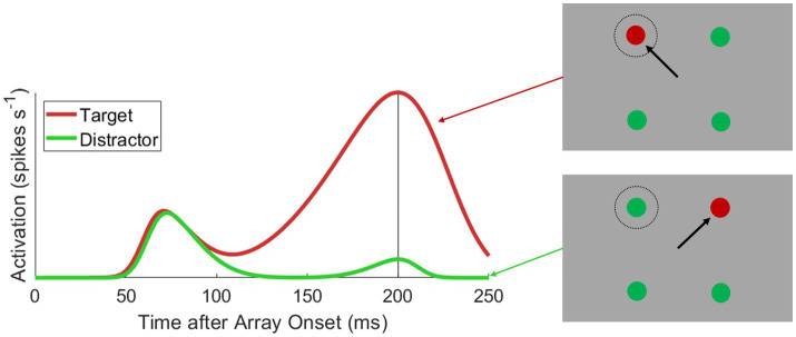 Oculomotor feature discrimination is cortically mediated.