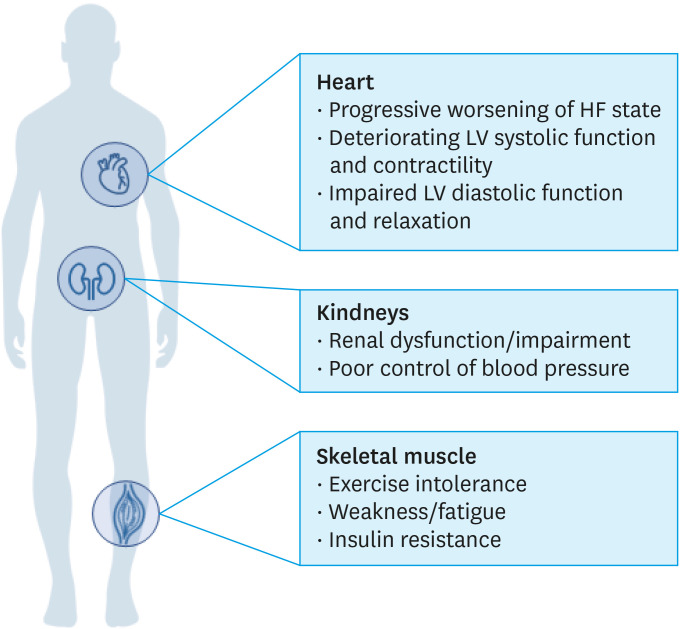 Iron Deficiency in Heart Failure: A Korea-Oriented Review.